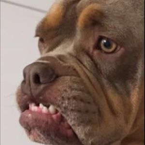 Meet your Posher, Chad